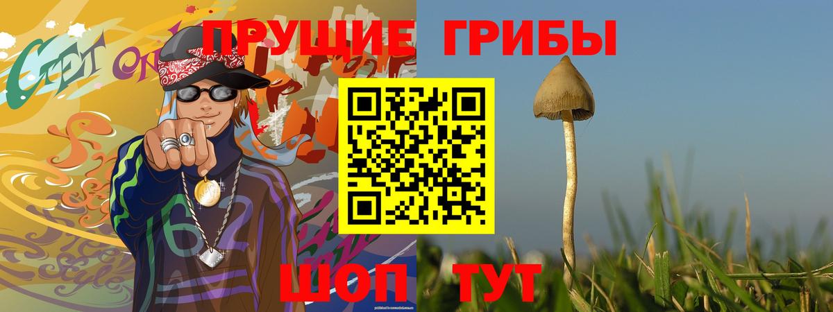 Псилоцибиновые грибы GOLDEN TEACHER  Вход с VPN  Благовещенск  Псилоцибиновые грибы прущие грибы 